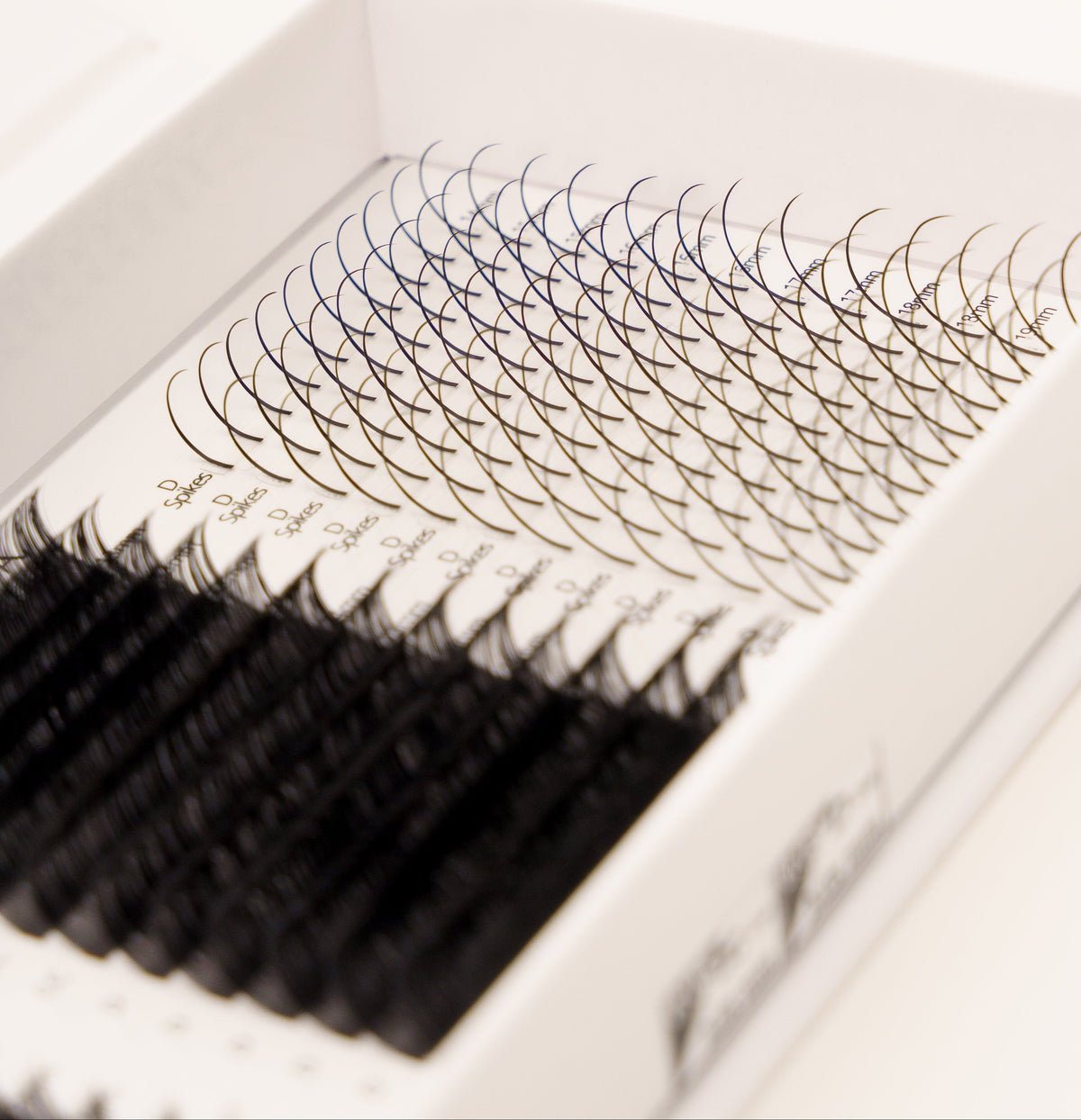 Signature Strip Lash Look - Lash Tray Box