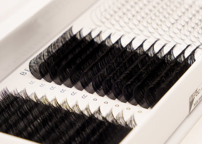 Set of false eyelashes in a white tray on a white background